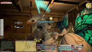 First-Person POV Final Fantasy XIV | [Survey Says | Southern Thanalan Side Quest LVL 31]