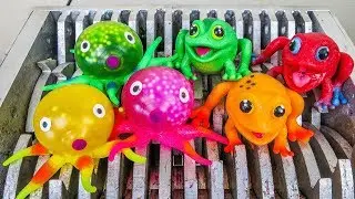 Octopus and Frogs Shredded! Squishy Frog Stress Toys Destroyed! What's Inside Slime Squishy Bath!