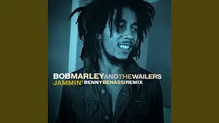 Jammin' (Benny Benassi Remix)
