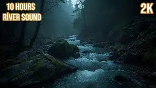 10 часов звуков реки в темном лесу для глубокого сна и учебы 💦 [2K Ultra HD] Релаксация