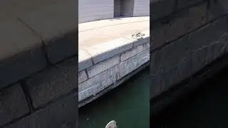 Oh No - PARKOUR WATER FAIL