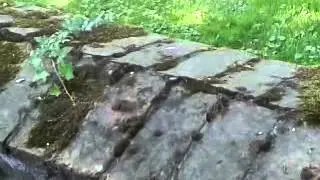 Rallye-groenegau 2013 wp5 Video 2