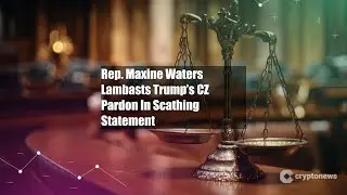 Rep. Maxine Waters Lambasts Trump&rsquo;s CZ Pardon In Scathing