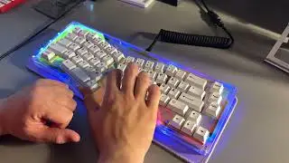 My first Alice (Arisu) Keyboard - FancyAlice 66 [Turn on CC]