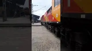 Super Honking Wag5HA Locomotive Indianrailway WGD4 Indian #locomotive train#shorts#status#viral#vlog