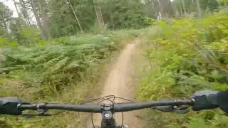  Finer China Vancouver Island Flow