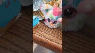 Loo-Lay eats a fake cupcake