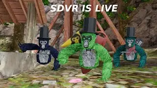 SDVR is Live!!