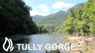 Tully Gorge Camping Area - Tully Gorge National Park, Queensland