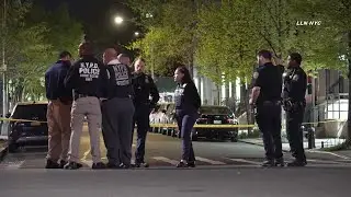 Grandmother Fatally Shot in Harlem