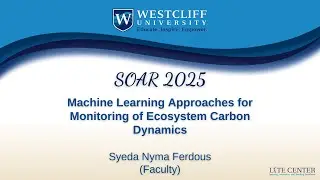 Machine Learning Approaches for Monitoring of Ecosystem Carbon Dynamics