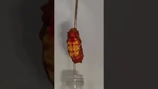 pupate #dance #asmr