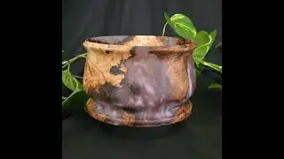 Dusk - spalted birdseye maple handturned bowl.