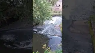 The River Irwell Ramsbottom #shorts #river #mothernaturesbeauty #mothernature #youtubeshorts