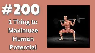 Do This to Maximize Human Potential, Menta Chiropractic LLC in Milford, CT | Dr. Franco Menta