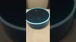 Alexa is a furry