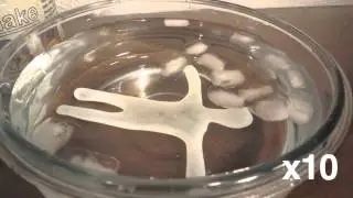 Pl&aacute;stico Moldeable InstaMorph PlastiMake PolyMorph