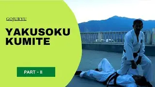 GOJU RYU YAKUSOKU KUMITE PART II | KARATE INDIA | P S PANWAR