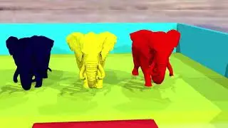 Magical Fountain Transformation: Giant Elephant, Lion, Bear!