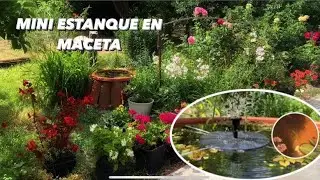MINI ESTANQUE en MACETA 🪴 || Ideas, usos, peces medaka.