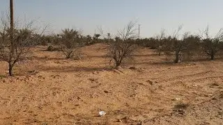 Once fruitful, Libyan village suffers climate crisis | AFP