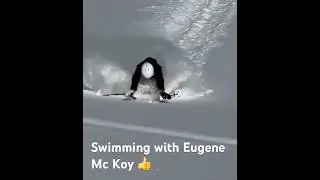 Swimming with Eugene Mc Koy 👍