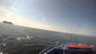 Sale Savuljeskovic Beltquerung 15.Aug.2012 Teil 4