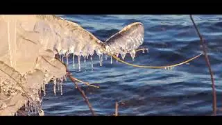 Eiszapfen am Pl&ouml;ner See