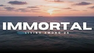 Meet the &ldquo;Immortal&rdquo; Animal That Cheats Death🎐 #ImmortalJellyfish #ScienceDocumentary #AmazingAnimals