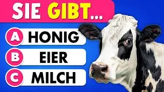 60 Allgemeinwissens-Fragen 🎒📚✅ | Bist du schlauer als ein F&uuml;nftkl&auml;ssler?