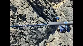 New Saltiga 2023 5000H / New Zenaq Fokeeto Twitch 73/3 best light game casting setup!!!