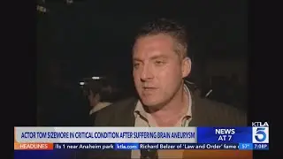 Actor Tom Sizemore in critical condition after suffering brain aneurysm