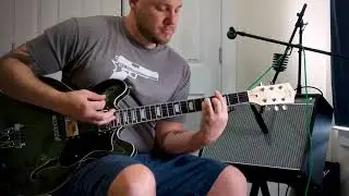 ESK-35T DIY Electric Guitar Kit: Solo Music Gear Demo