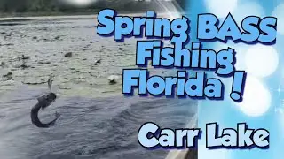BASS Fishing in Carr Lake! Spring fishing in North Florida with some Surprise fish!