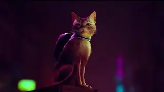 Жизнь кошачья | Stray #1