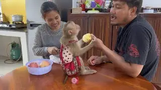 Jessy talk so much worry dad eat her apple.