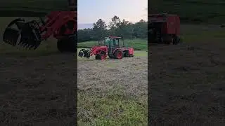 Mini HAY Bales #ibex  #minibaler  #hayfield #homesteadhappenings  #kubotatractor
