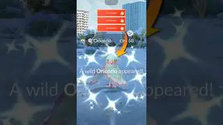 Shiny Oricorio Catch from field Research ( Debut ) #shorts #debut #shiny #oricorio #catch #research
