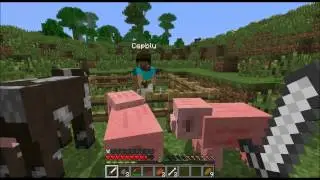 Minecraft with filipzx and Cepblu! (Trolling) シ