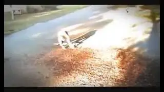 longboard slides wabadog 2009