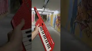 this looks so good I wanna cry #keytar #yamaha #casio #chiptune #synth
