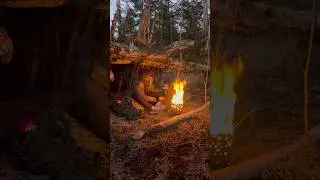 Shelter, Fire and Silence in the Northern Forest