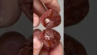 Rock Cut! Tiny Lahontan Jasper Stone Packed with Striking Red and White Patterns Inside!!