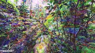 Best #DeepDream Video On The Internet