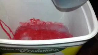 Amoeba feita em casa