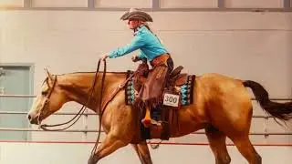 2014 AQHA ABRA IBHA Buckskin Gelding