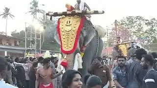 #elephant #pooram #kerala 