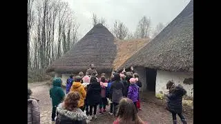 placement: st fagans