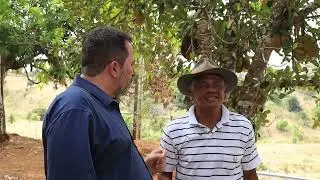 Produ&ccedil;&atilde;o de plantas ornamentais complementa renda na Fazenda Esperan&ccedil;a, em Vi&ccedil;osa