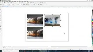 Invert Colors and Mirror Photos in CorelDRAW